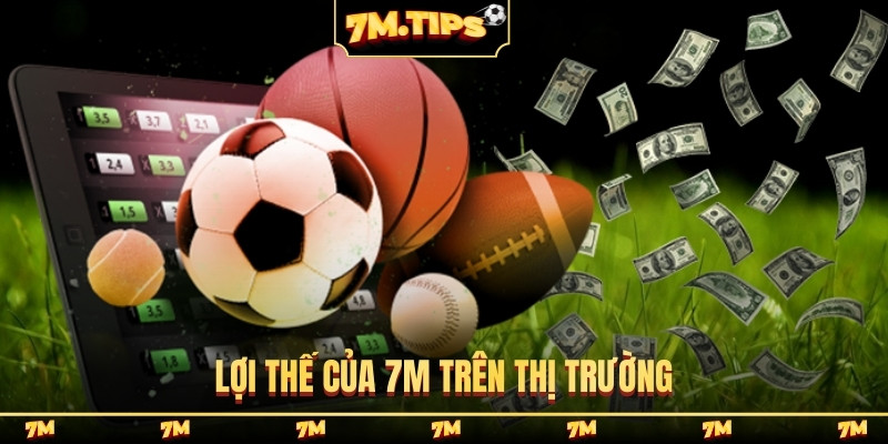 Lợi thế của 7M trên thị trường