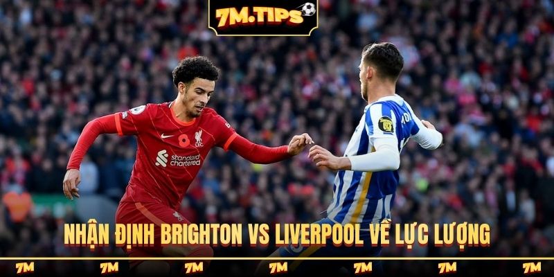 Nhận định Brighton vs Liverpool về lực lượng